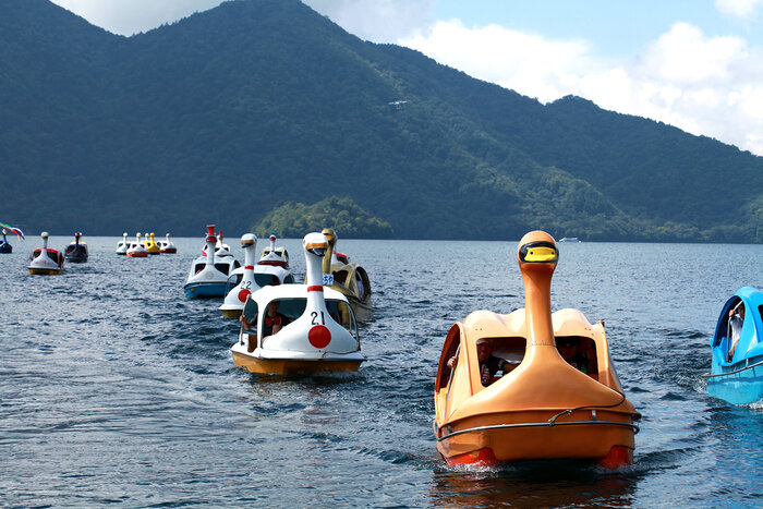 9月5日(土) 第12回中禅寺湖スワンボートレースが開催されます！