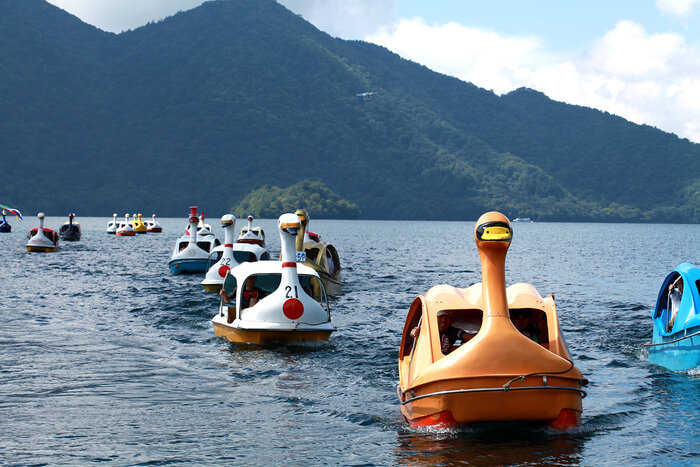 9月5日(土) 第12回中禅寺湖スワンボートレースが開催されます!
