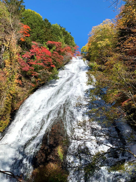 日光の紅葉情報