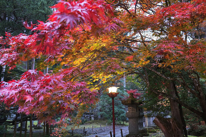 日光の紅葉情報