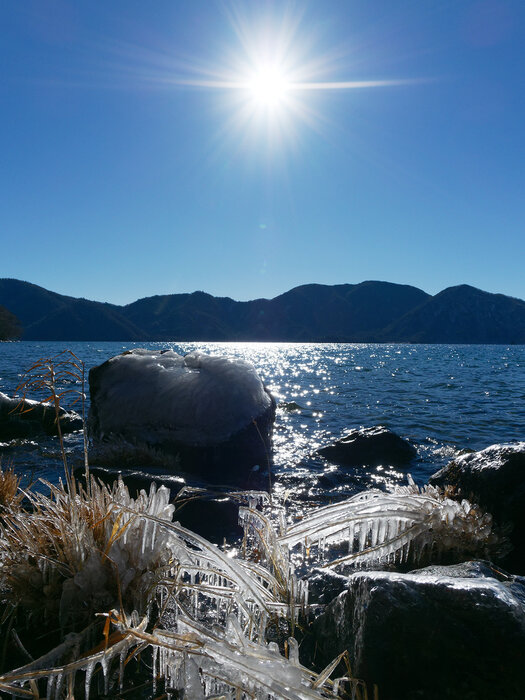 冬季フリーパスが半額に【湯元宿泊者限定】