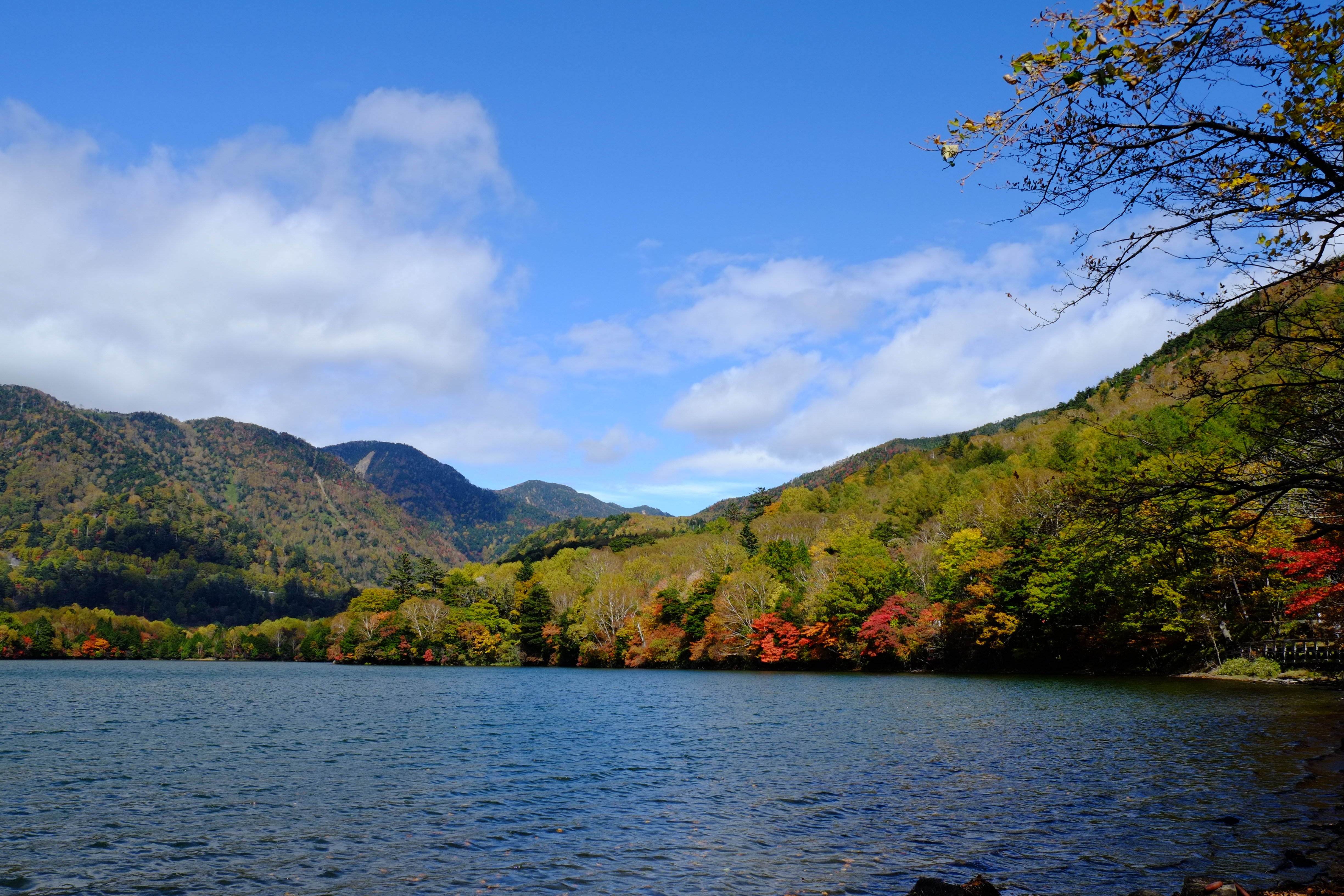 湯ノ湖