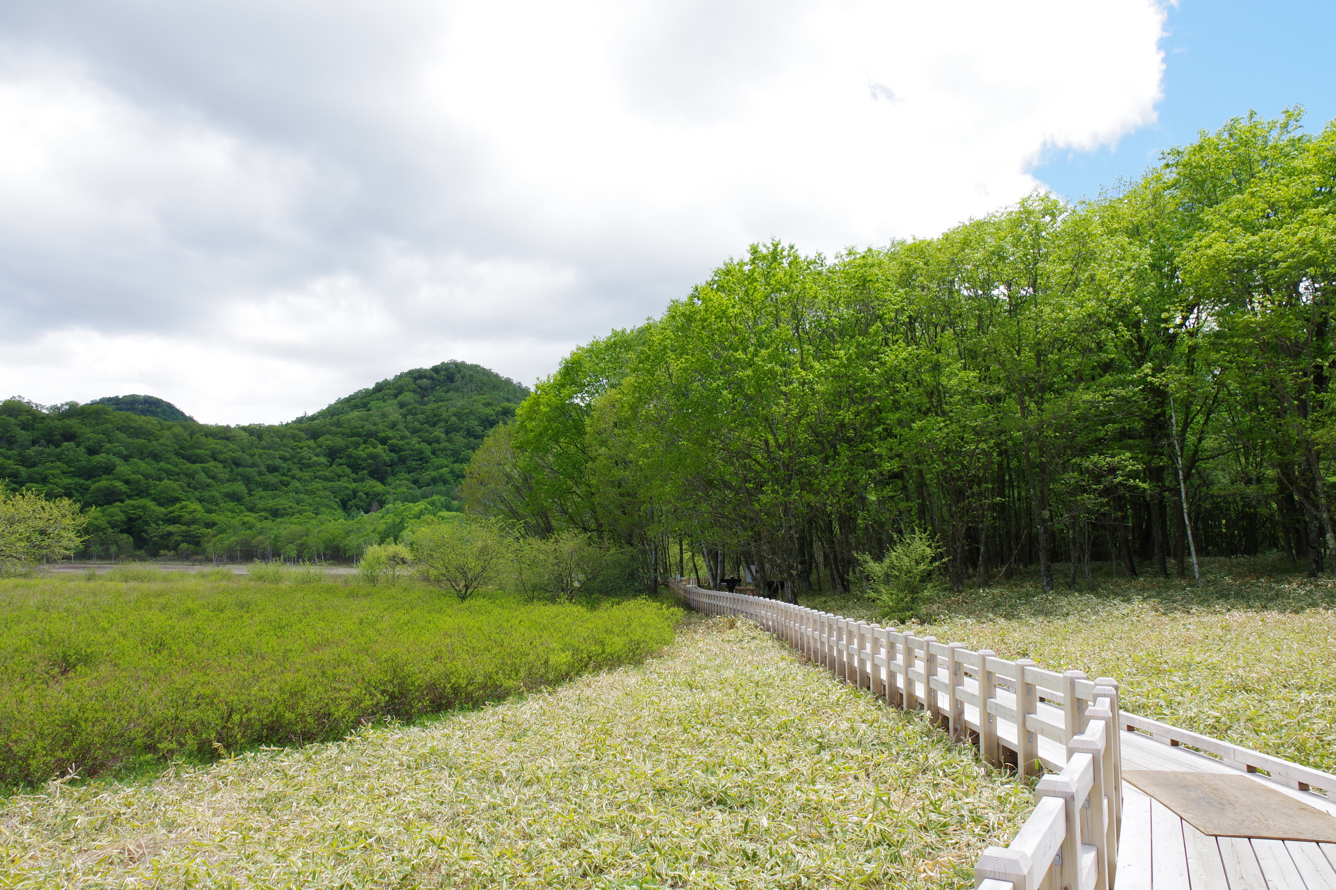 戦場ヶ原